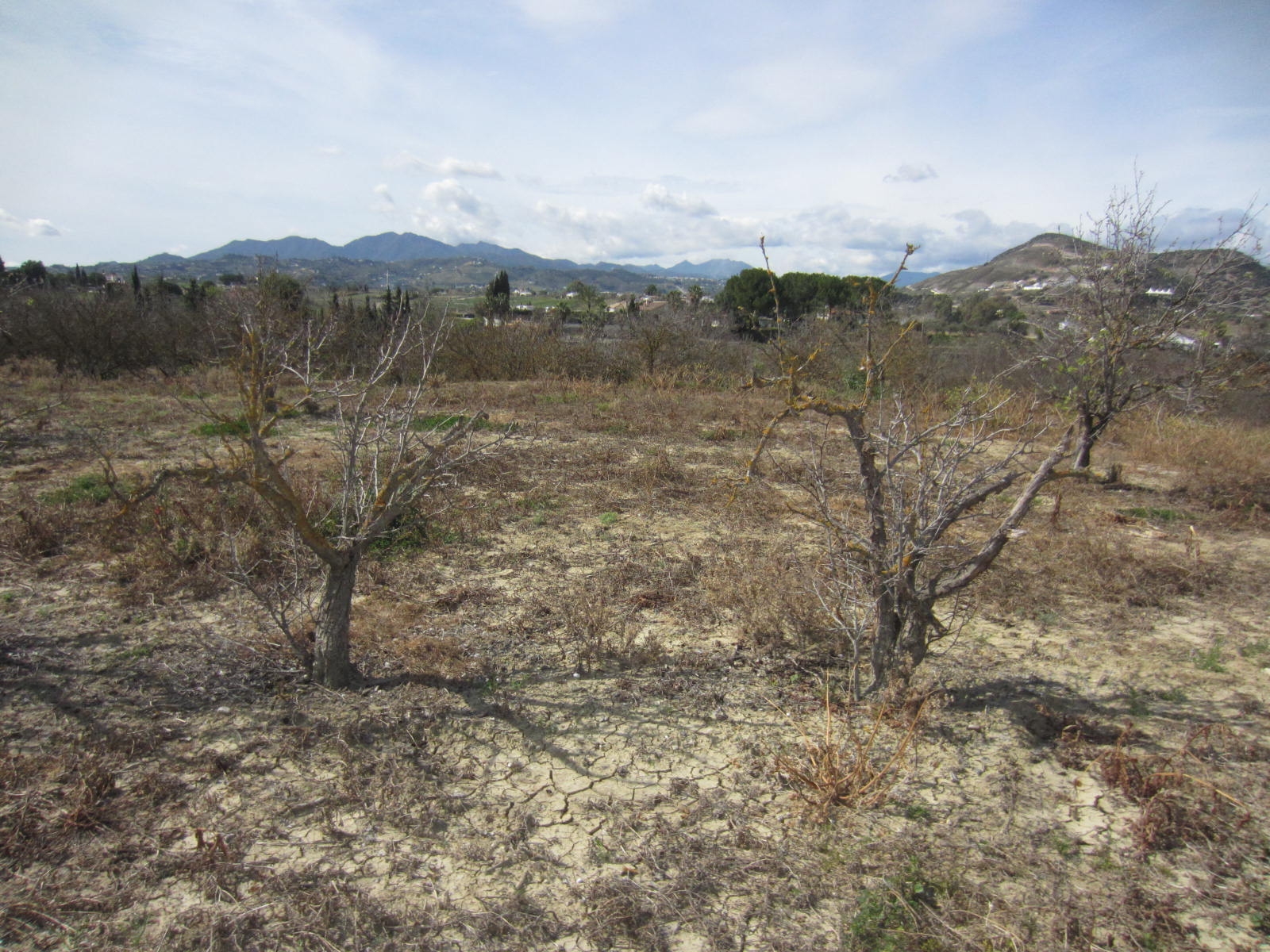 Country Property v prodeji in Alhaurín el Grande