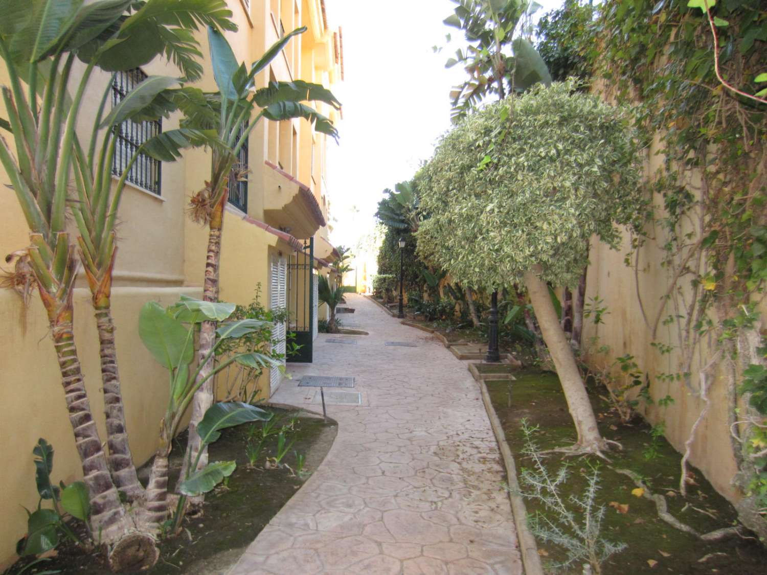 Apartamento en venta en Los Pacos (Fuengirola)